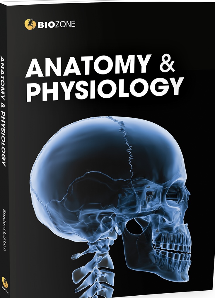 Anatomy & Physiology - Print + Digital Student Access